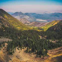 Landscapes